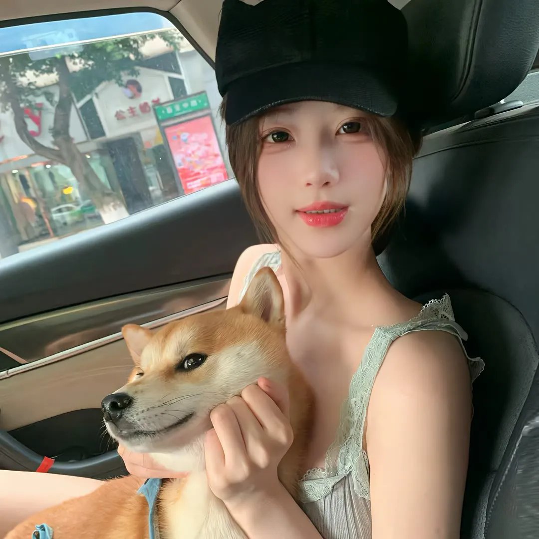 每天都在征服生活
